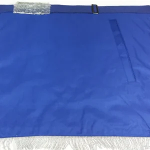 Past Master Blue Lodge Apron - Gold & Silver Bullion Hand Embroidery