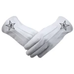 Masonic Youth Department Gloves | Leather Colorful Star Emblem