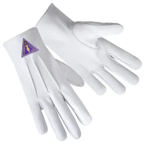 Royal & Select Masters English Regulation Gloves - Leather with Purple Patch front and back