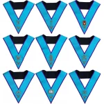 Blue Lodge Officer Collar Set - 9 Piece Sky Blue with Officer Jewels