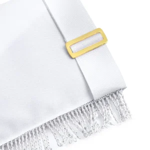 Past Master Blue Lodge California Regulation Apron - Embroidery Bullion with Rayon Fringe 7 Past Master Blue Lodge California Regulation Apron - Embroidery Bullion with Rayon Fringe