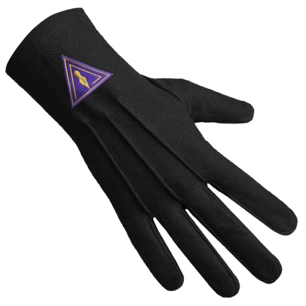 Royal & Select Masters English Regulation Gloves - Black Cotton with Purple Patch front