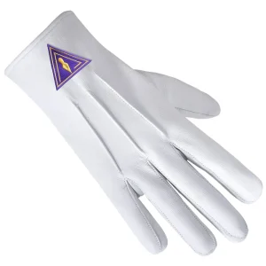 Royal & Select Masters English Regulation Gloves - Leather with Purple Patch front