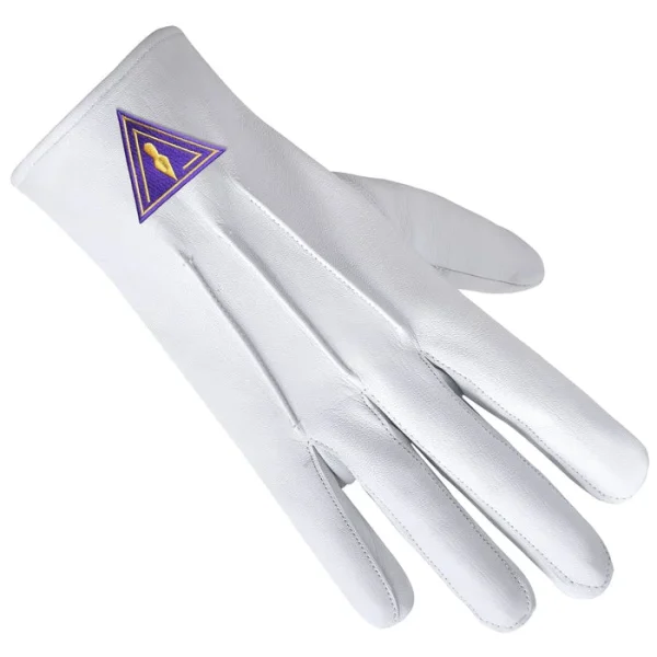 Royal & Select Masters English Regulation Gloves - Leather with Purple Patch front